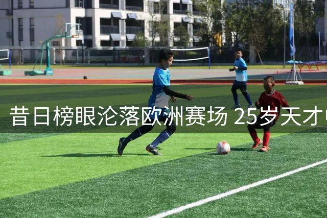 昔日榜眼沦落欧洲赛场 25岁天才中锋NBA生涯告急？