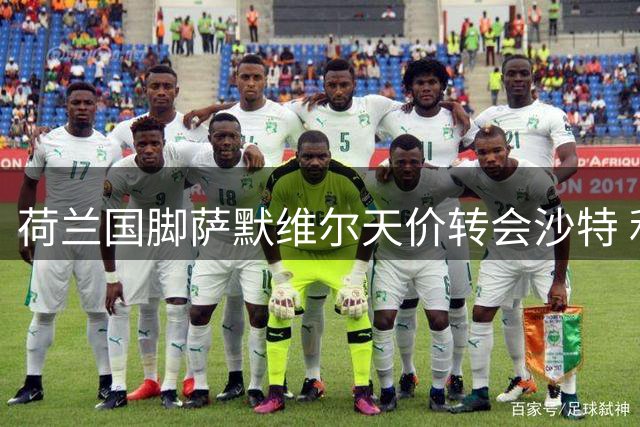 荷兰国脚萨默维尔天价转会沙特 利雅得新月豪掷6000万镑锁定边路快马